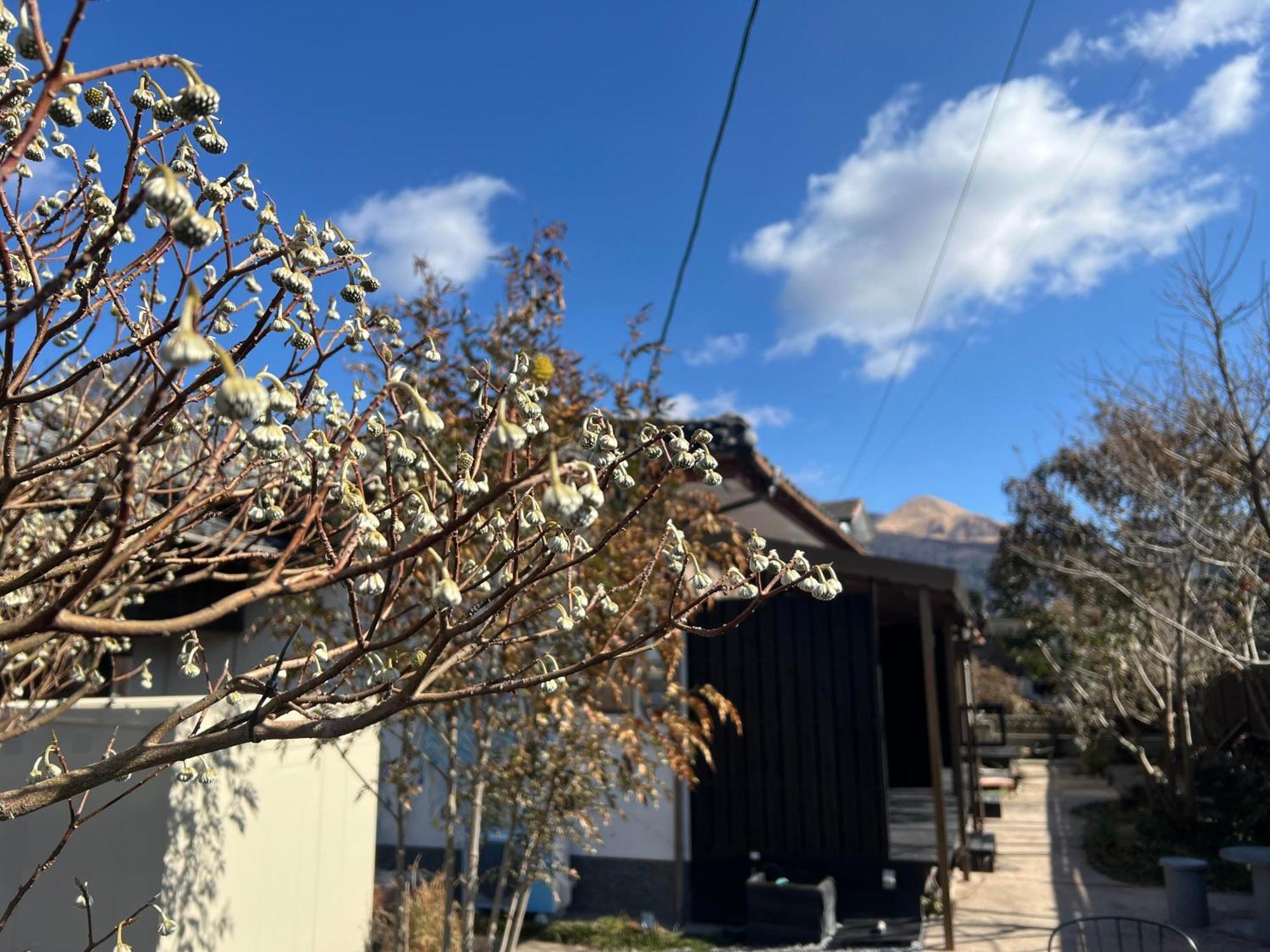 Assi House Hotel Yufu Exterior photo